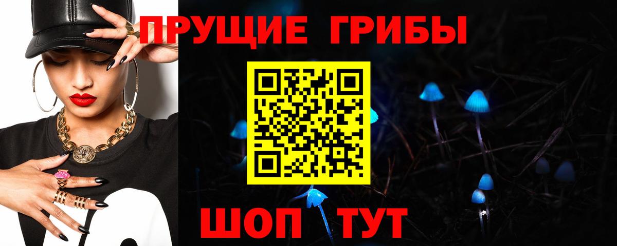 Псилоцибиновые грибы GOLDEN TEACHER Строитель